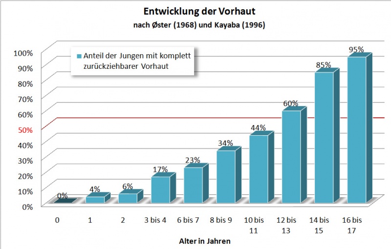 Datei:Vorhautentwicklung.jpg